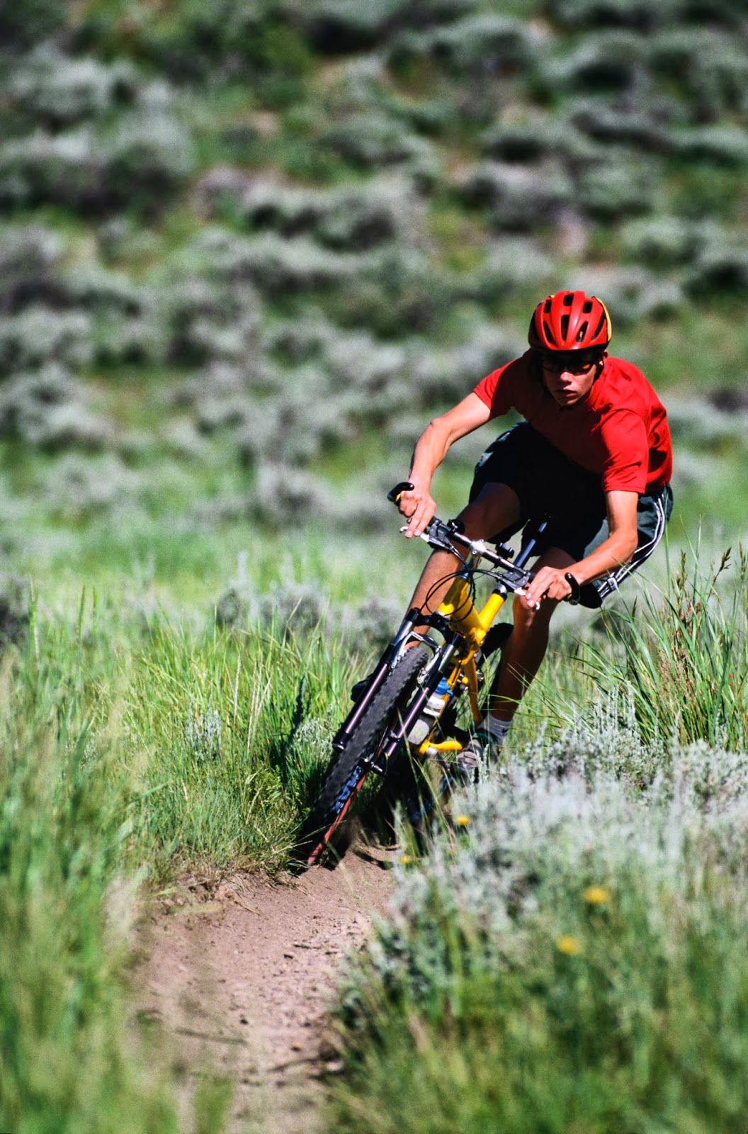 SportsCover Direct Common Cycling Injuries