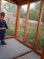 chicken into playhouse coop converting board