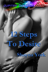 12 Steps to Desire - Cover Art
