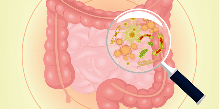 síntomas de lombrices en los intestinos