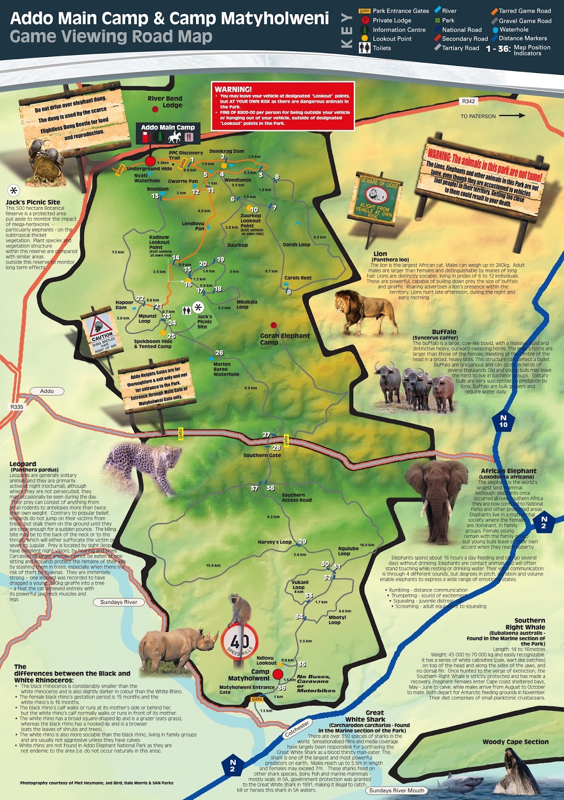 Südafrika 2017: Addo Elephant National Park