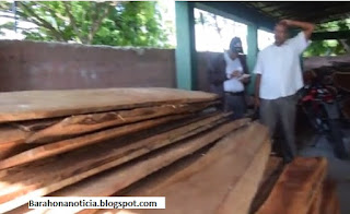 En Enriquillo: Sindico Incauta cargado de madera preciosa