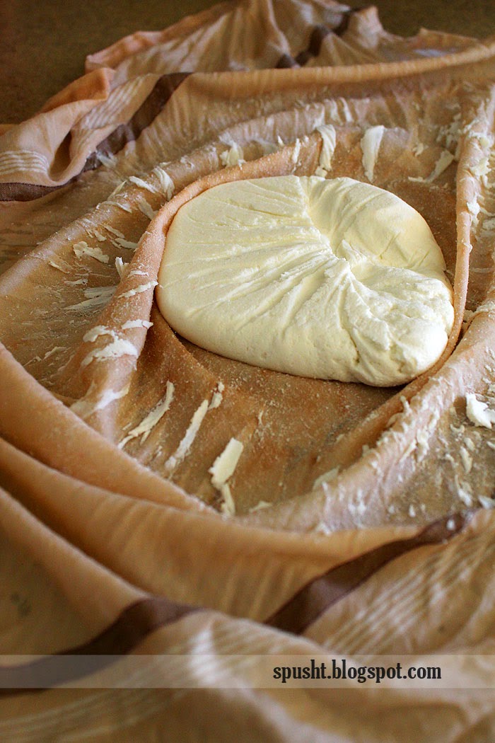 Spusht How to Make Paneer / Chhena (Ricotta Cheese) at Home