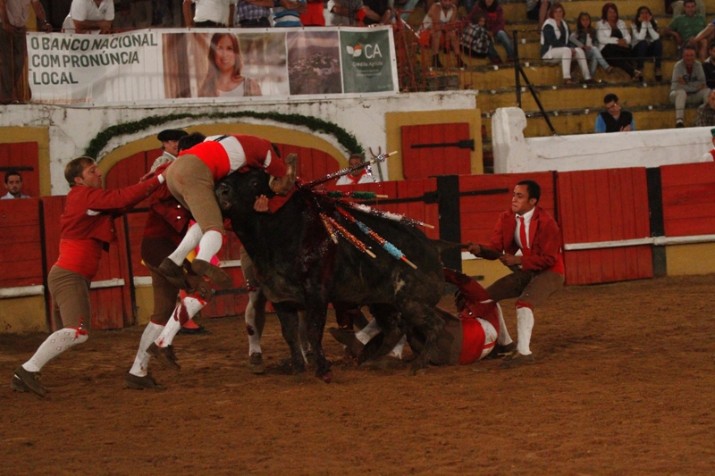 Diário Taurino: Tomar: Os forcados (C/Fotos)
