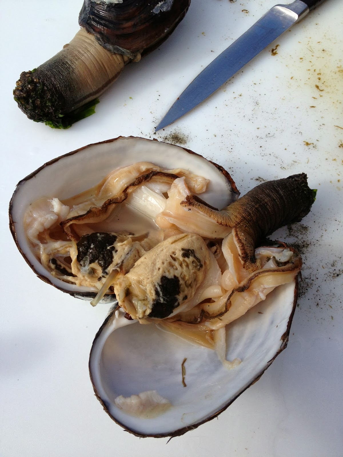 Casa Fiore From the Chef Things to Do With Clams