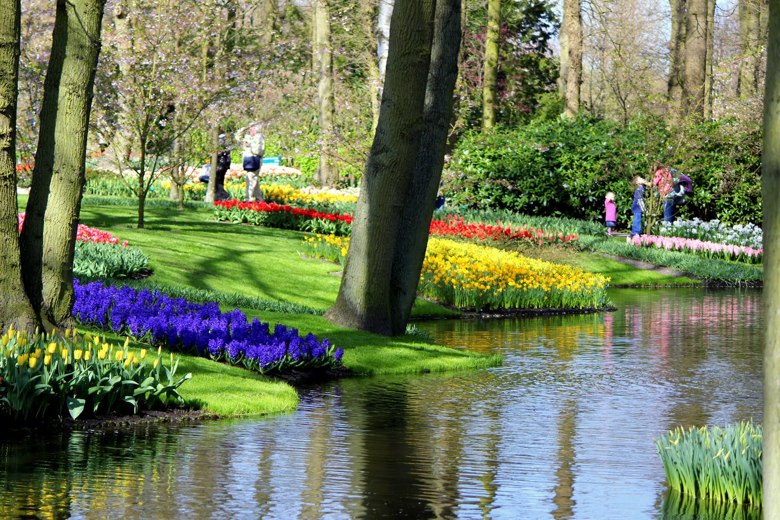 Королевский парк