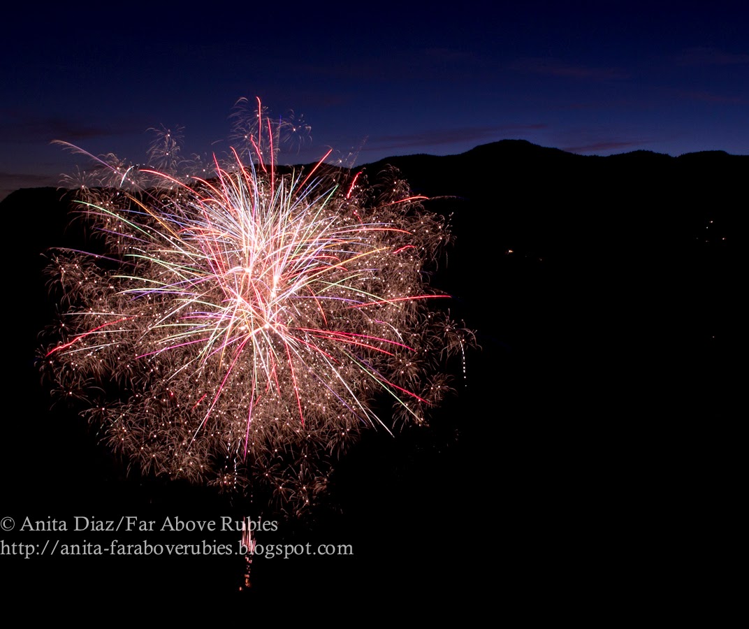Capturing fireworks successfully... Whispering Pines Homestead