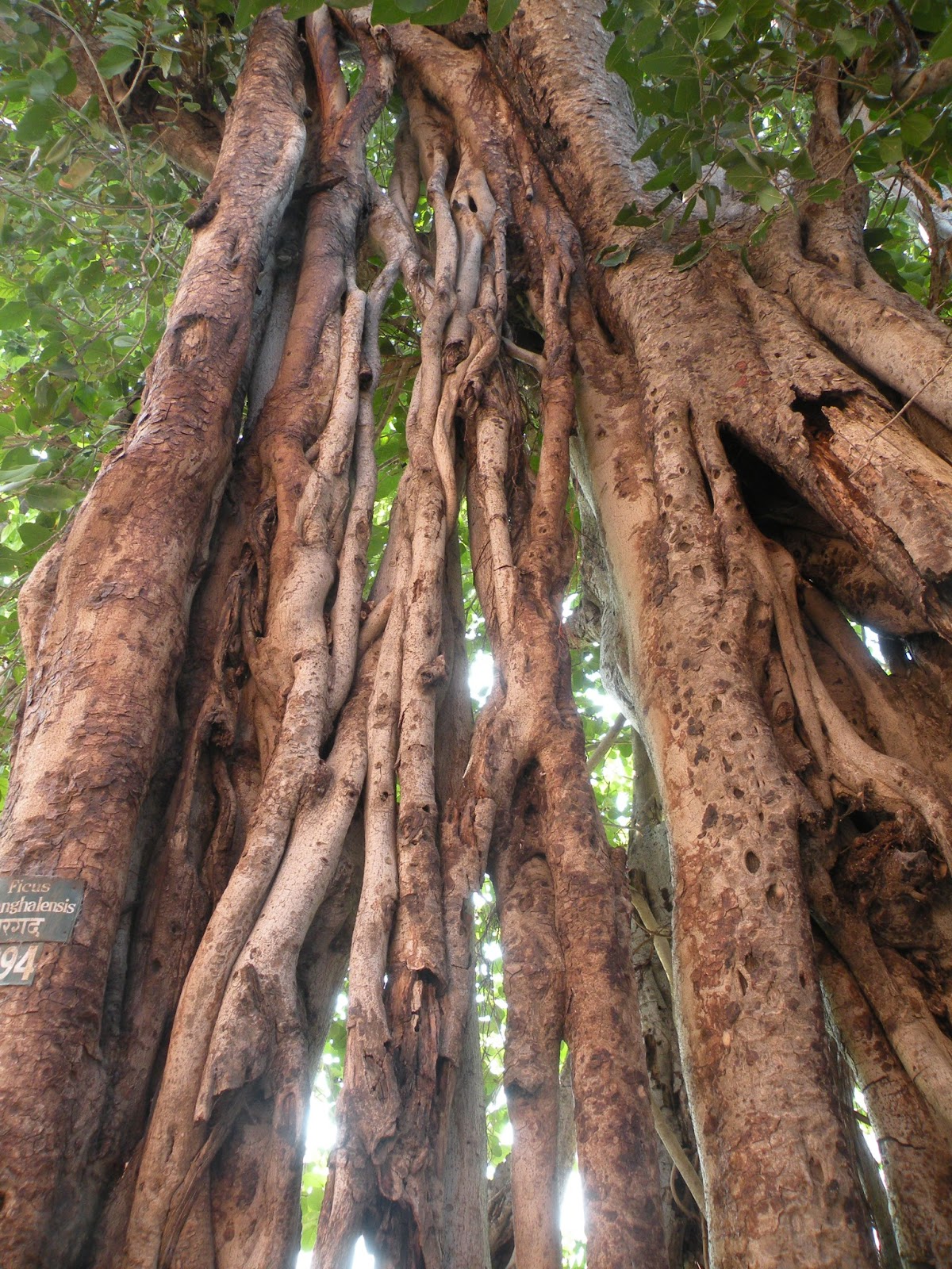 Casa Wayward A Day at Agra and the Taj Mahal