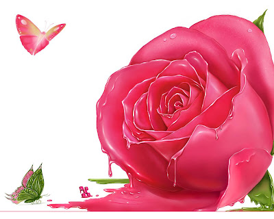 Pink Rose Meaning Roses Wallpaper Light Pink Rose