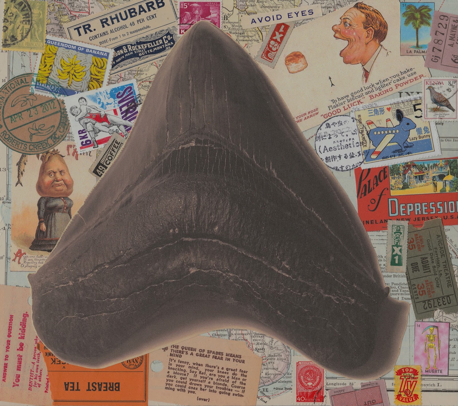 The Kollage Kit: big tooth, big shark