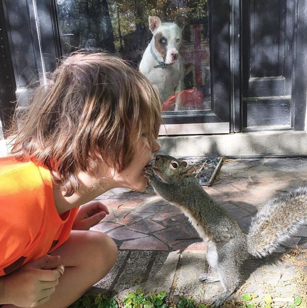 squirrel bella loves to play cath up for a bit