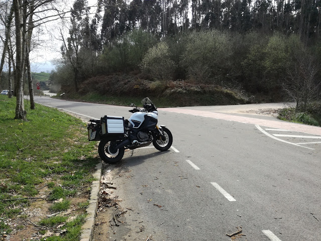 Secuoyas del monte cabezon ensupertenere