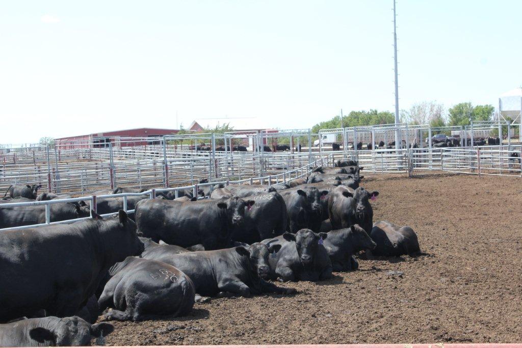 Rob Cook From Oklahoma to Kansas