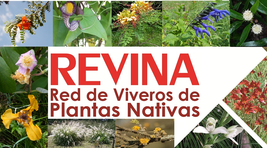 ENCUENTROS REVINA