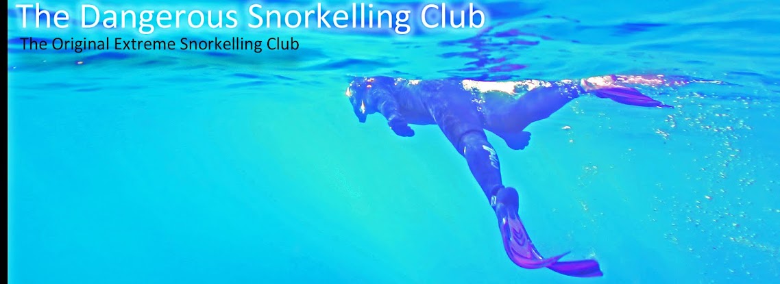 The Dangerous Snorkelling Club