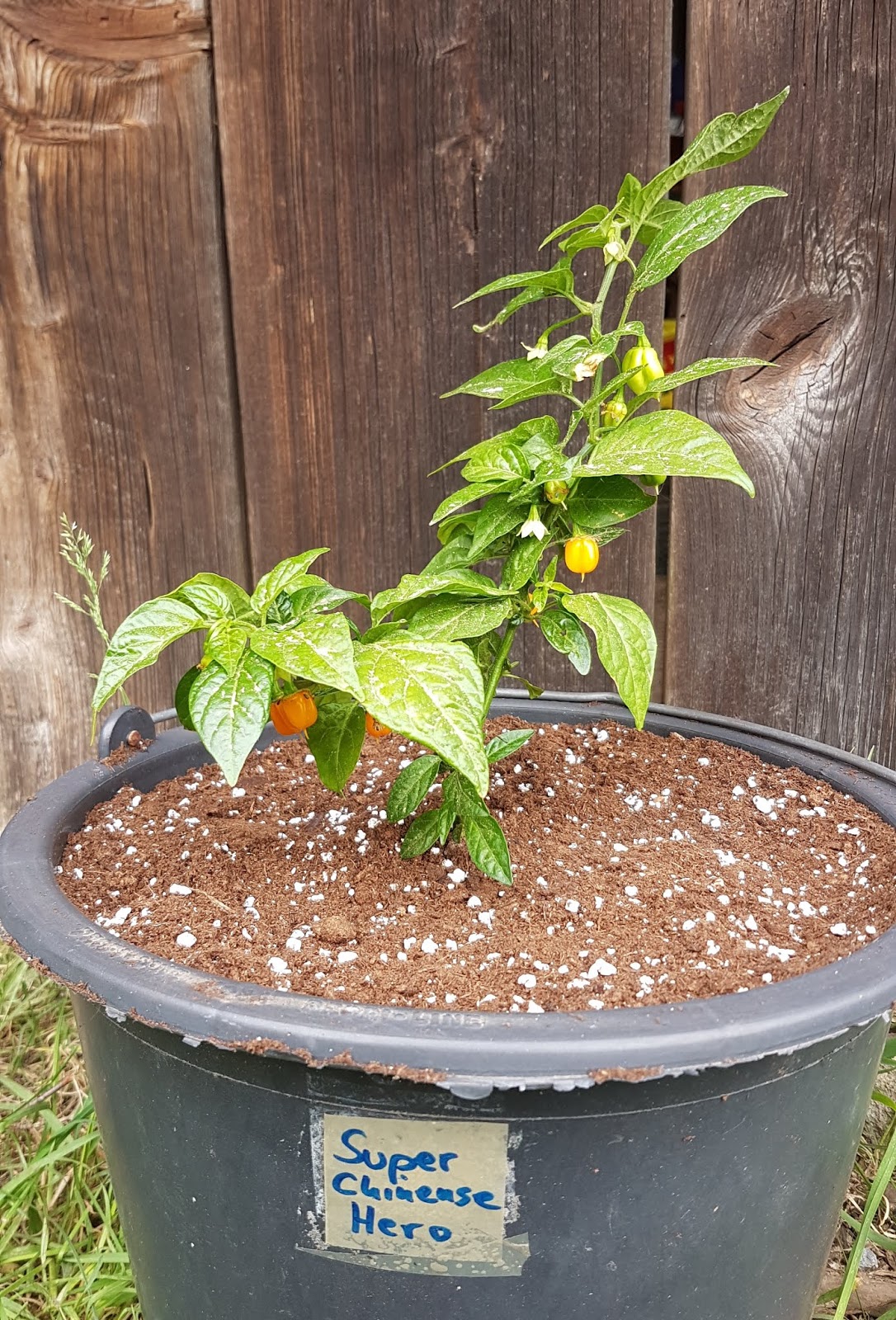 Leben Und Reisen In Mexiko Blog Rundreise Yucatan