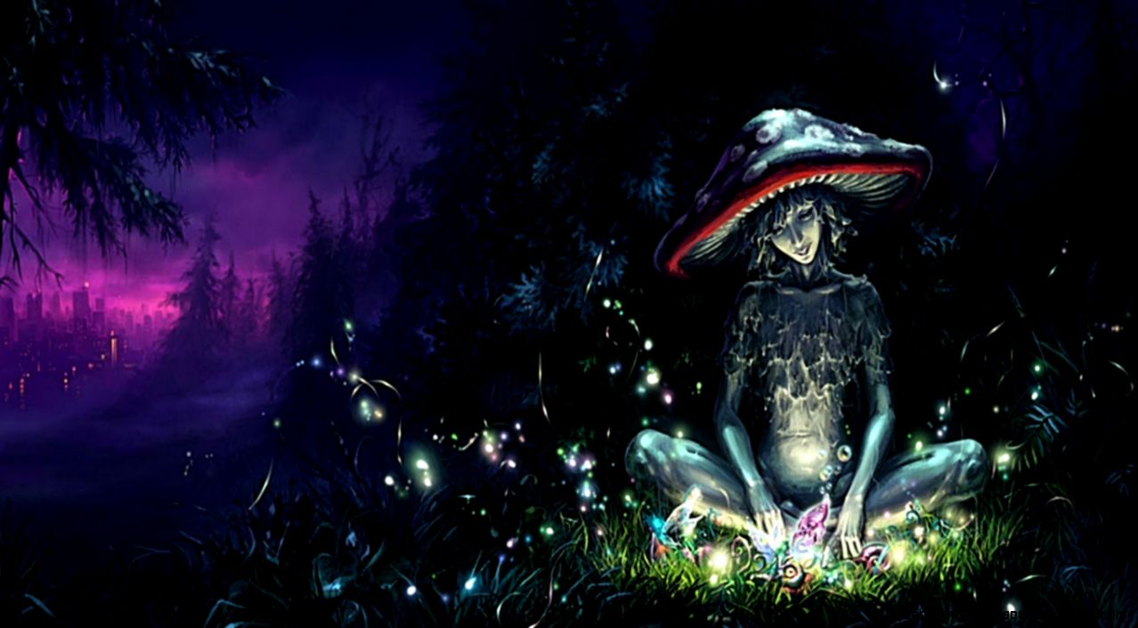 Download Fantasy The Free Mushroom Wallpaper 1360x768  Full HD