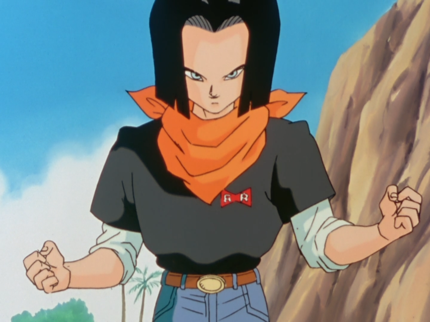 Android 17 x reader