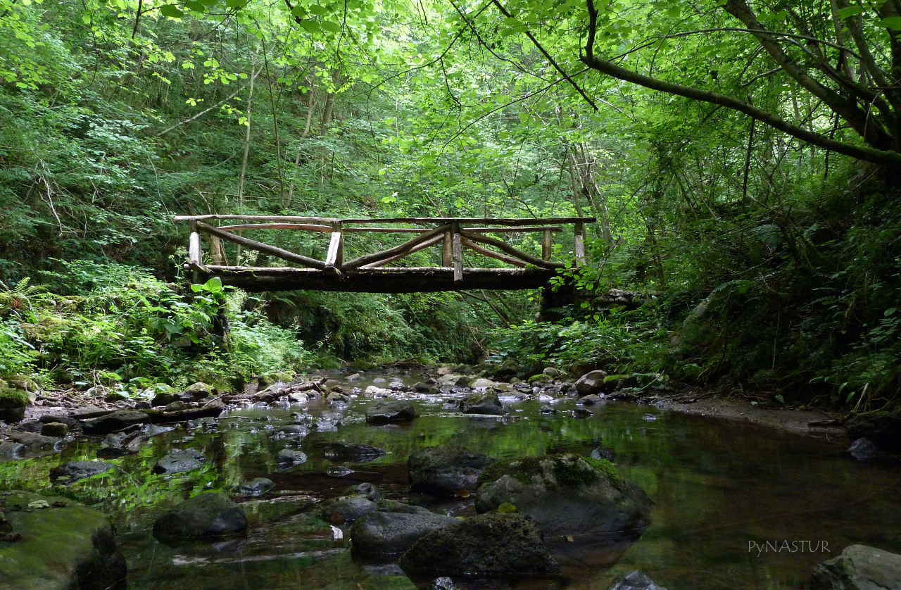DESFILADERO DE LAS XANAS Asturias ( VILLANUEVA SANTO ADRIANO QUIROS
