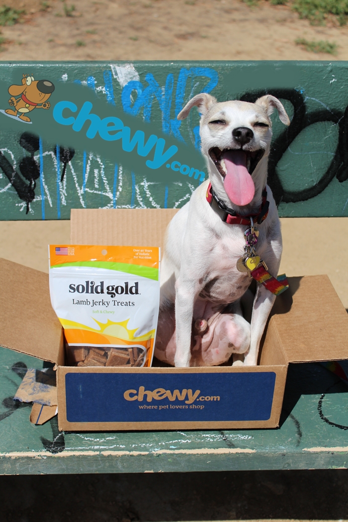 Solid Gold Lamb Jerky Treats from Chewy.com Review