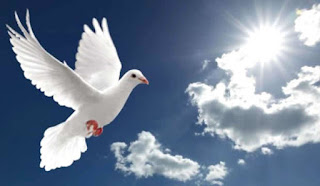 Espírito Santo de Deus em forma de pomba no céu