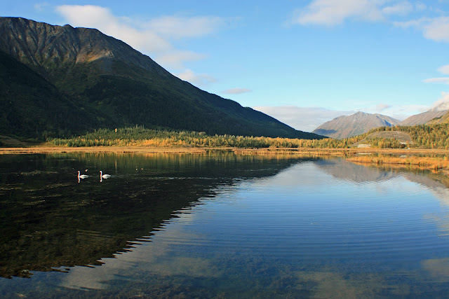 LA PENINSULA DE KENAI - LA ULTIMA FRONTERA. CRONICAS DE ALASKA (9)