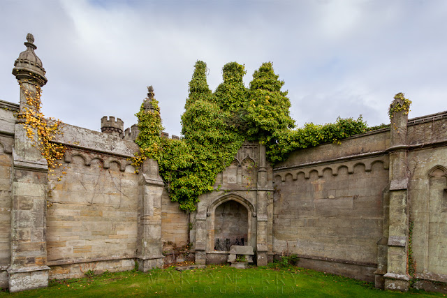 An outbuilding at Margam Castle is covered in ivy by Martyn Ferry Photography