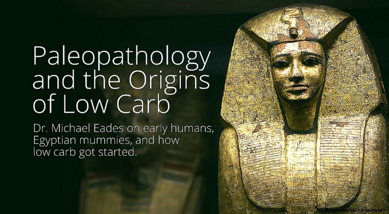 Eades Wallpapers And Fabric   Wallpaper Zone