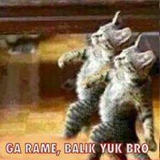 Gambar Kucing Lucu Komentar Facebook Dulayex Blog Nah Kamu Punya