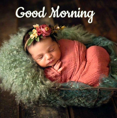 500 Beautiful Good Morning Images With Quotes Hd Photos For Whatsapp