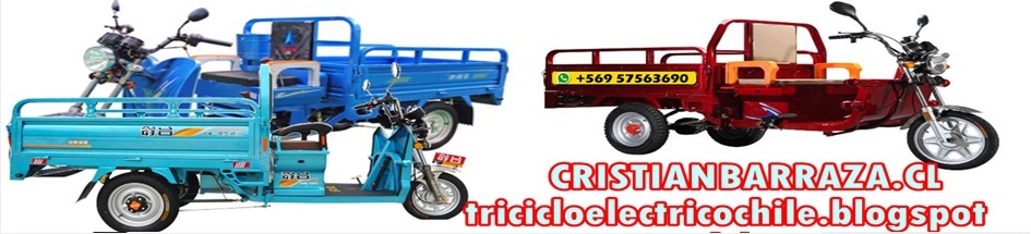 Triciclos electricos de carga, torito, moto pick up