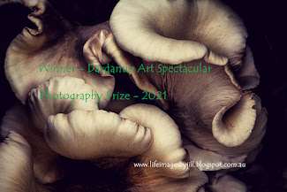 2021 - 1st Prize Photography, Dardanup Art Spectacular & Manjimup Fungi Photo Competition