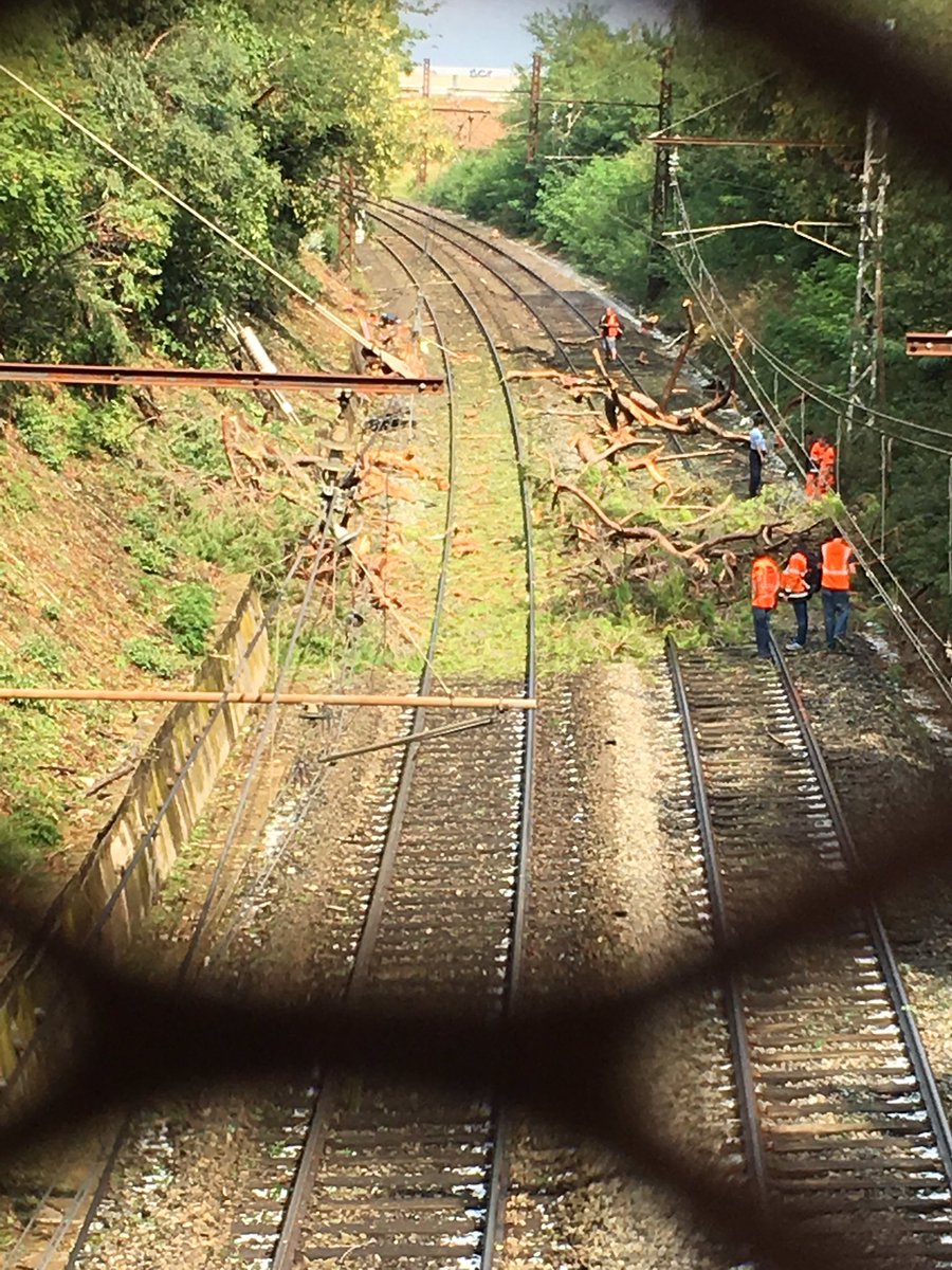 Man thrown from train and dozens injured after it hits tree branches on