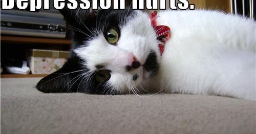 CJs PawPad Do Cats Help With Anxiety And Depression cjs-pawpad-do-cats-help-with-anxiety-and-depression