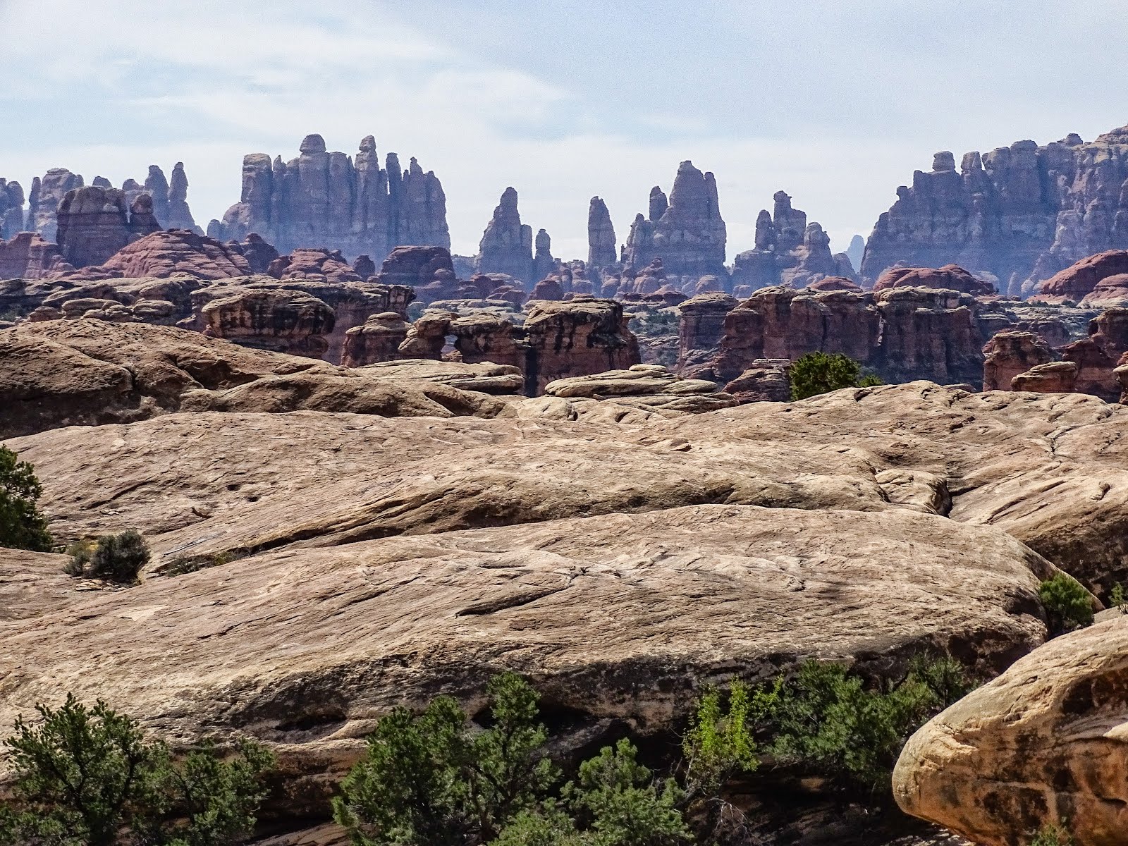 Walking Arizona Presenting the Needles