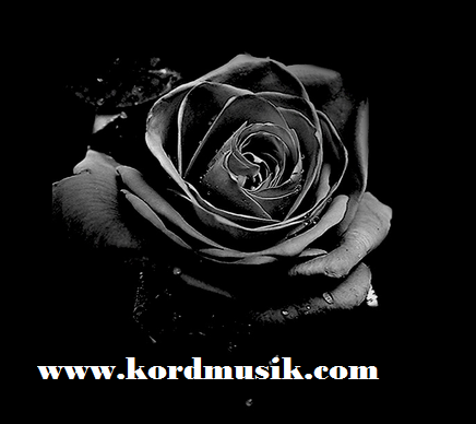 Mawar hitam chord