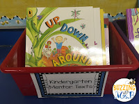 Teaching with mentor texts is easier when you have a basket of books, ready to choose from. This list of mentor texts for reading and writing include books for kindergarten through 5th grade in fiction and nonfiction. Use them to teach reading skills and strategies from story elements to main idea and writing strategies, too, like personal narrative beginnings and expository structure.