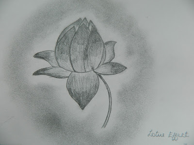 Lotus in black and white