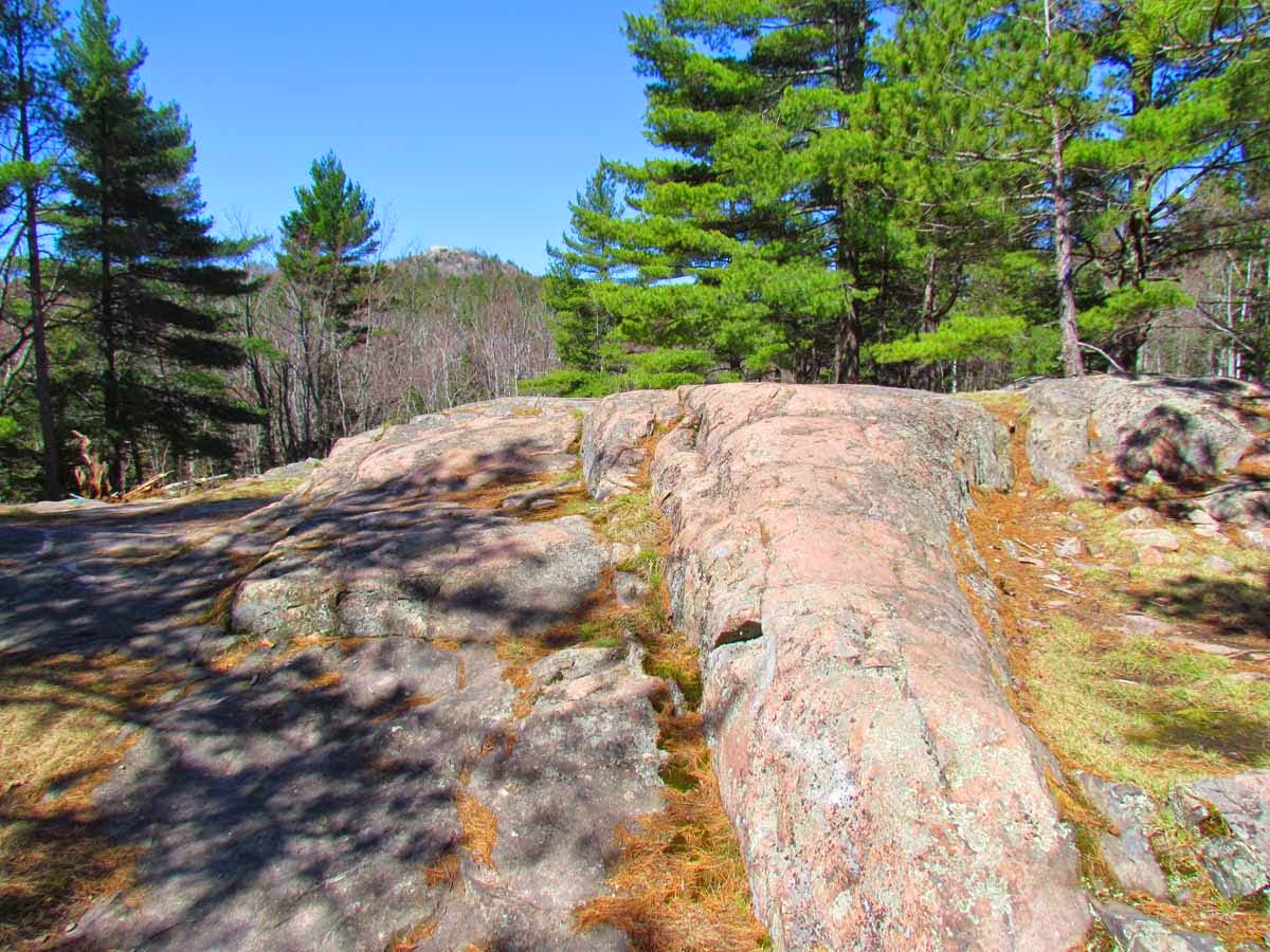 Hogs Back Rocks The Agatelady: Adventures and Events: Hogback Mountain Hike