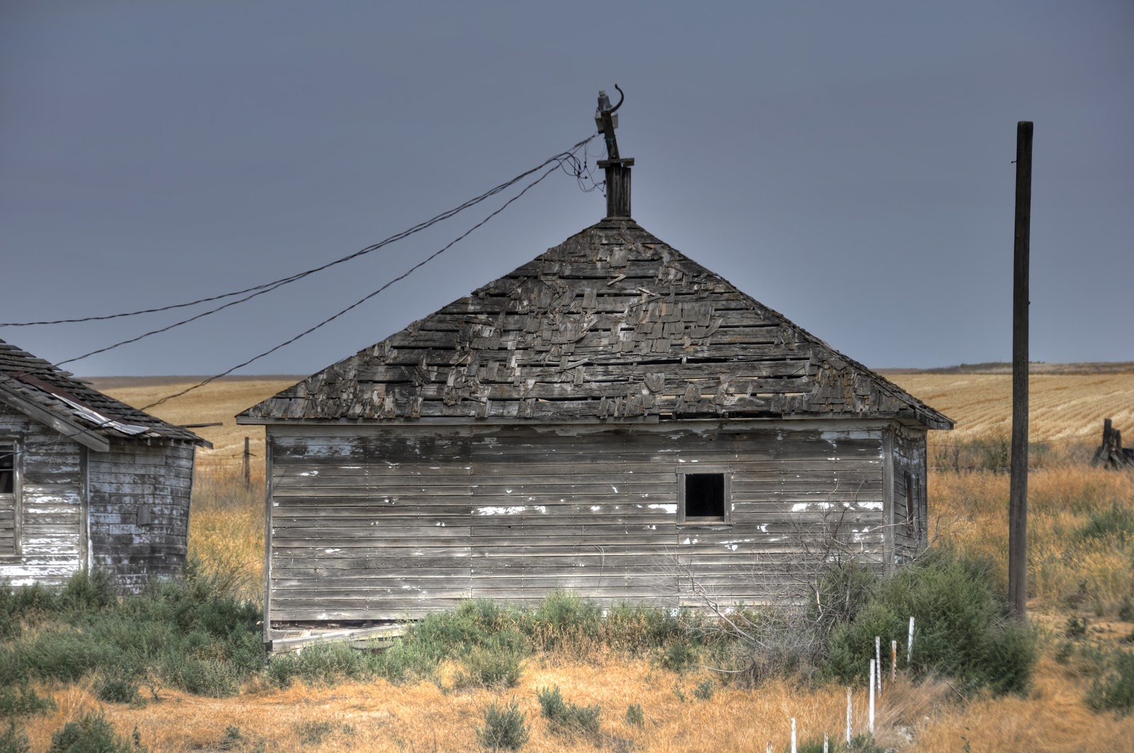This Life in Ruins homestead gone wild, Near Almira, Wa