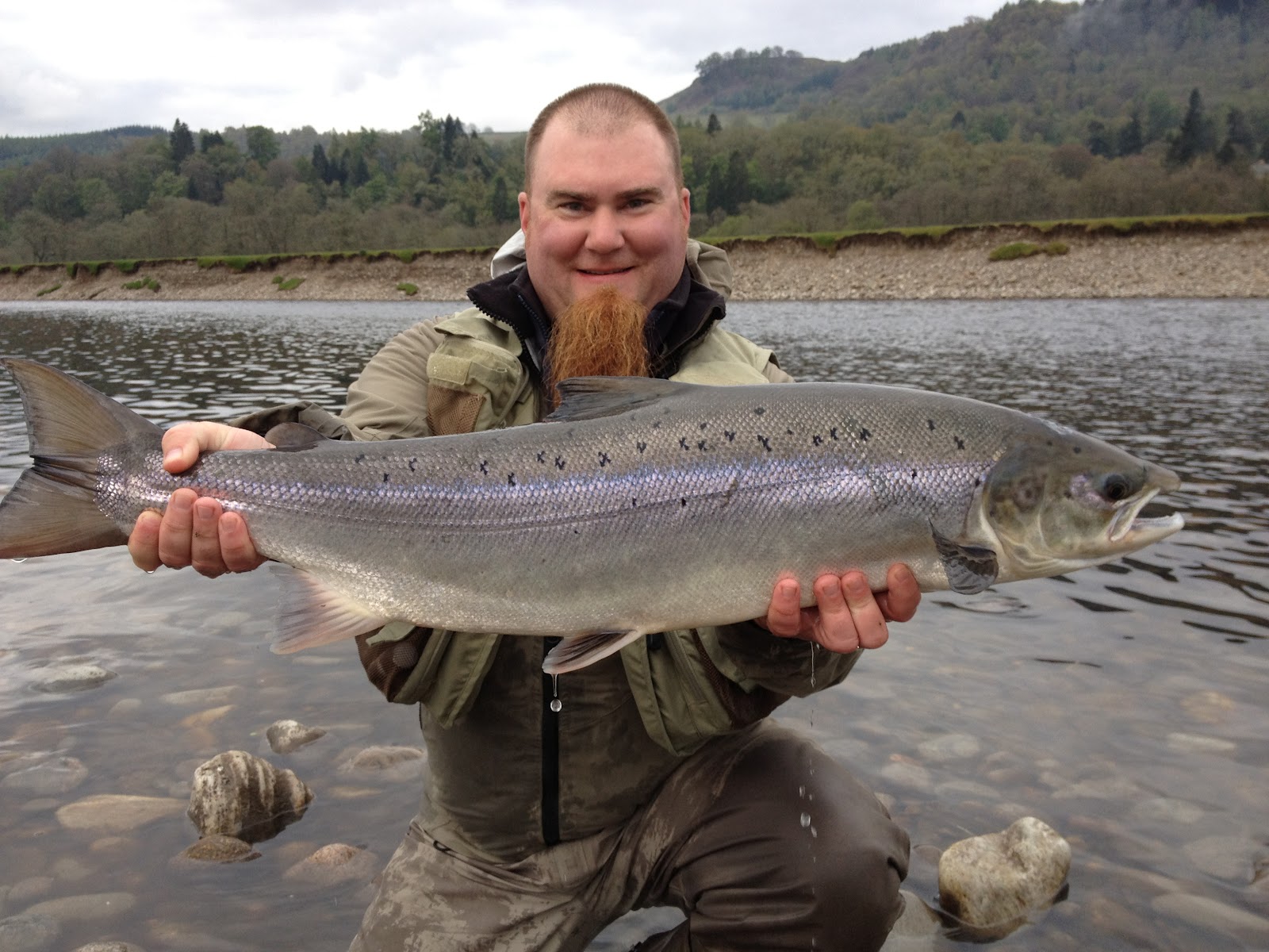 Salmon Fishing Scotland. Salmon Fishing Scotland Salmon Fly Fishing on