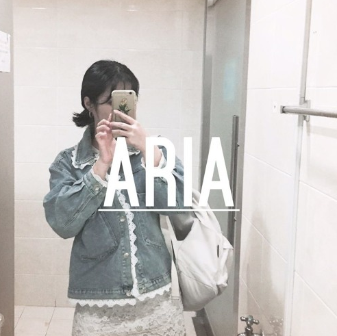 ARIA - 현실파악