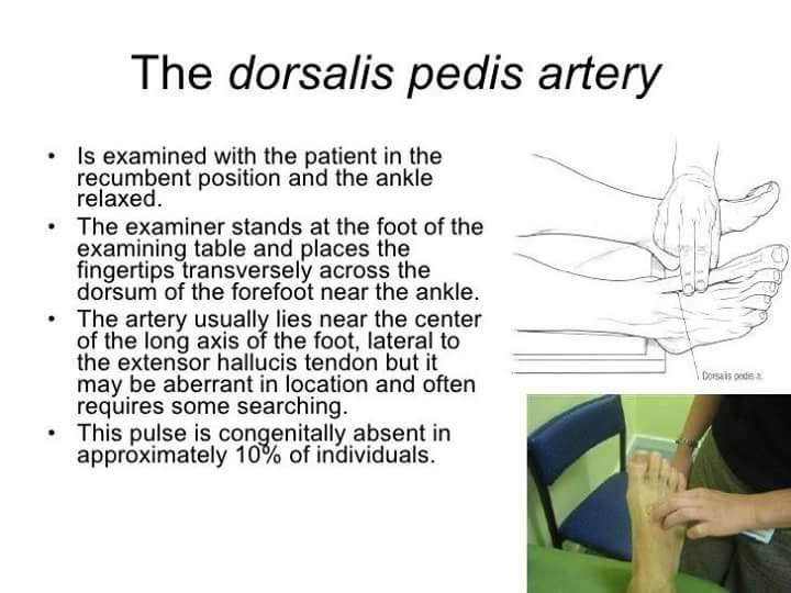 Dorsalis pedis artery