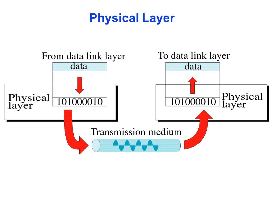 Physical layer BELAJAR KOMPUTER
