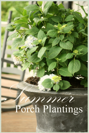 PLANTING HYDRANGEAS IN URNS