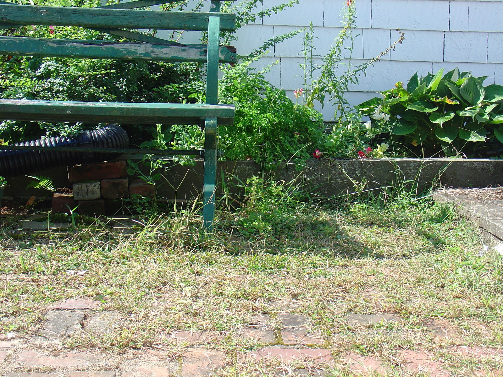 Life at Pugsley Patio weeds and controlling crab grass