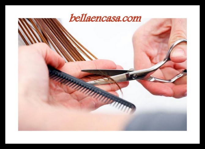 formas de cortar el pelo como cortar el cabello paso a paso ii bella en casa formas de cortar el pelo como cortar el cabello paso a paso ii bella en casa