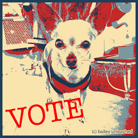 vote via baileyunleashed.com