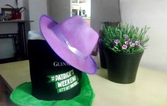 Se ven dos sombreros con una planta de clavelillos