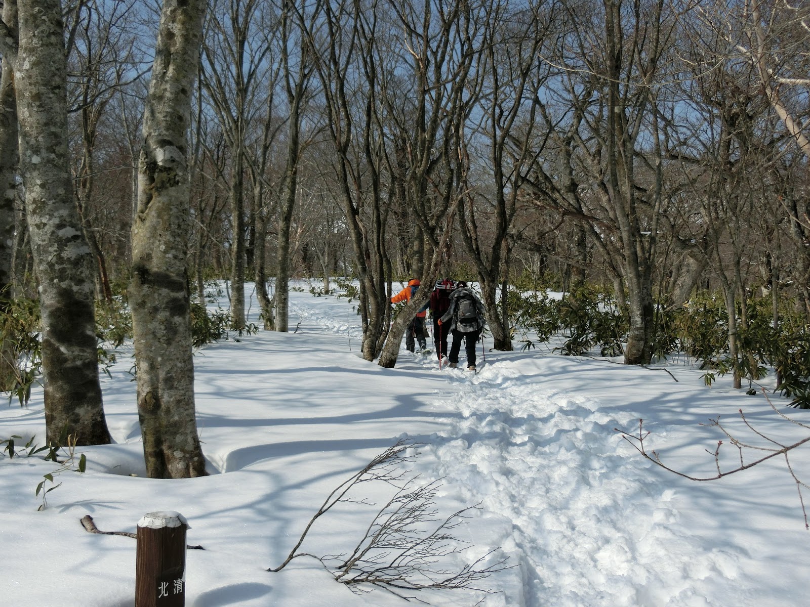 なすキュン日記 マウントジーンズから中の大倉尾根へ♪